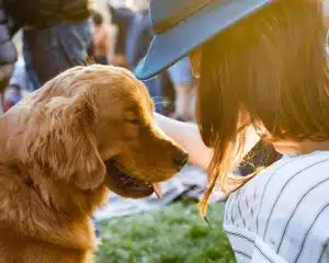 pet trust estate planning
