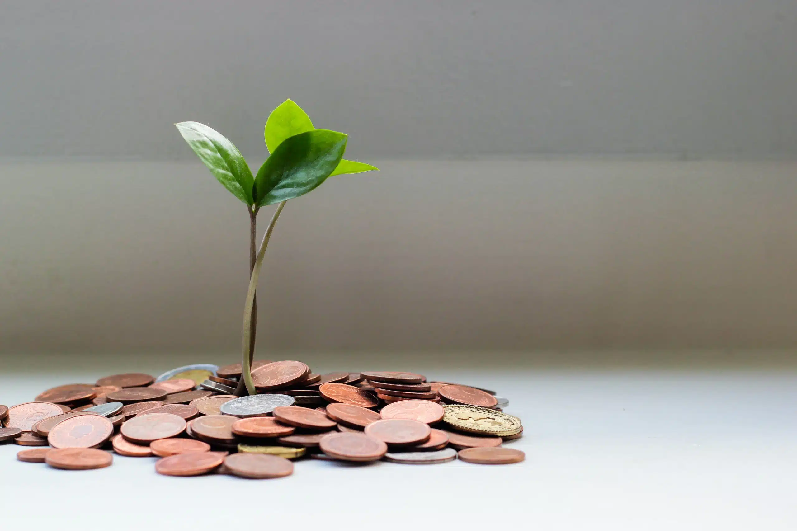 Funding Your Trust