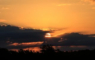 plan from your deathbed