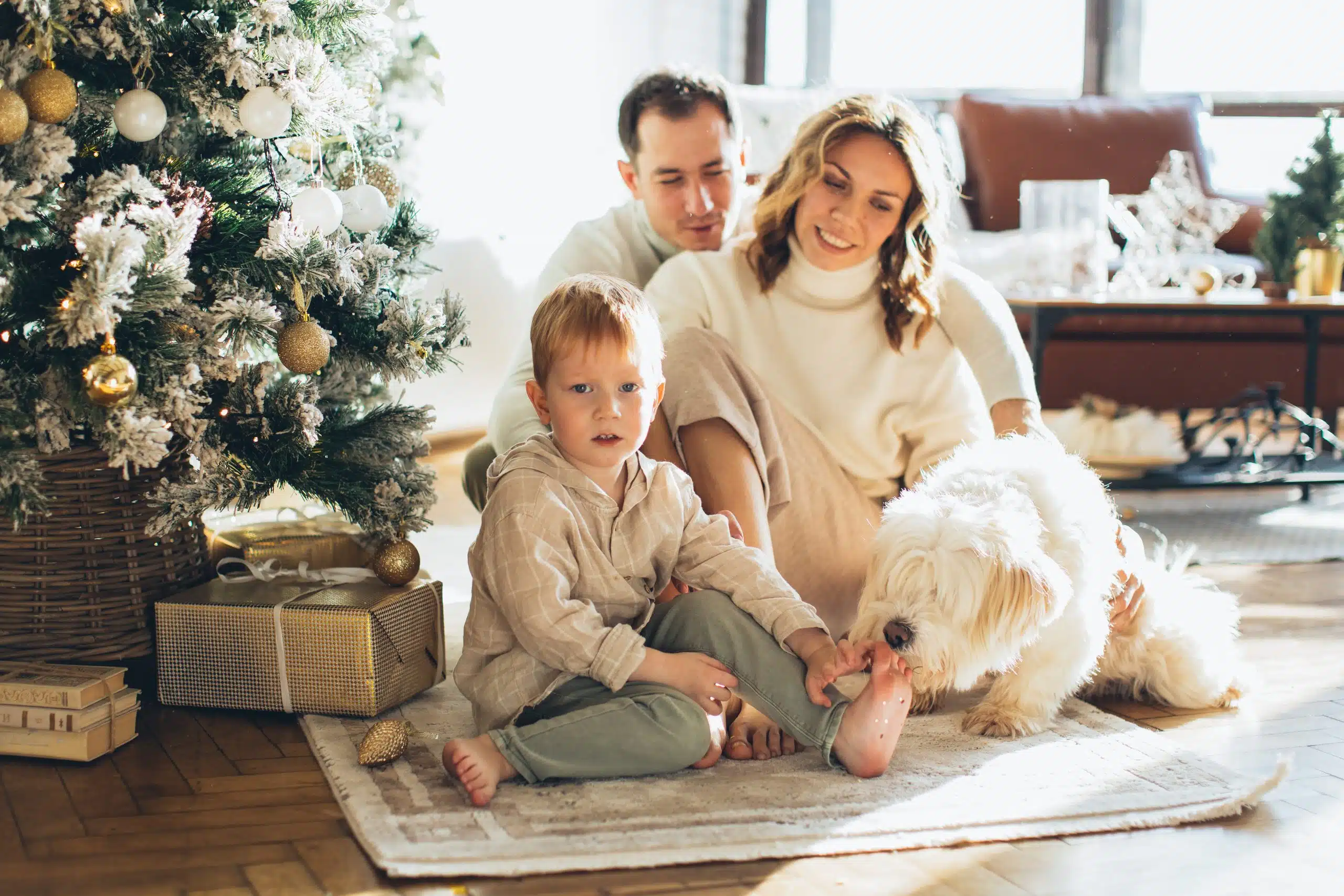 comfort your family