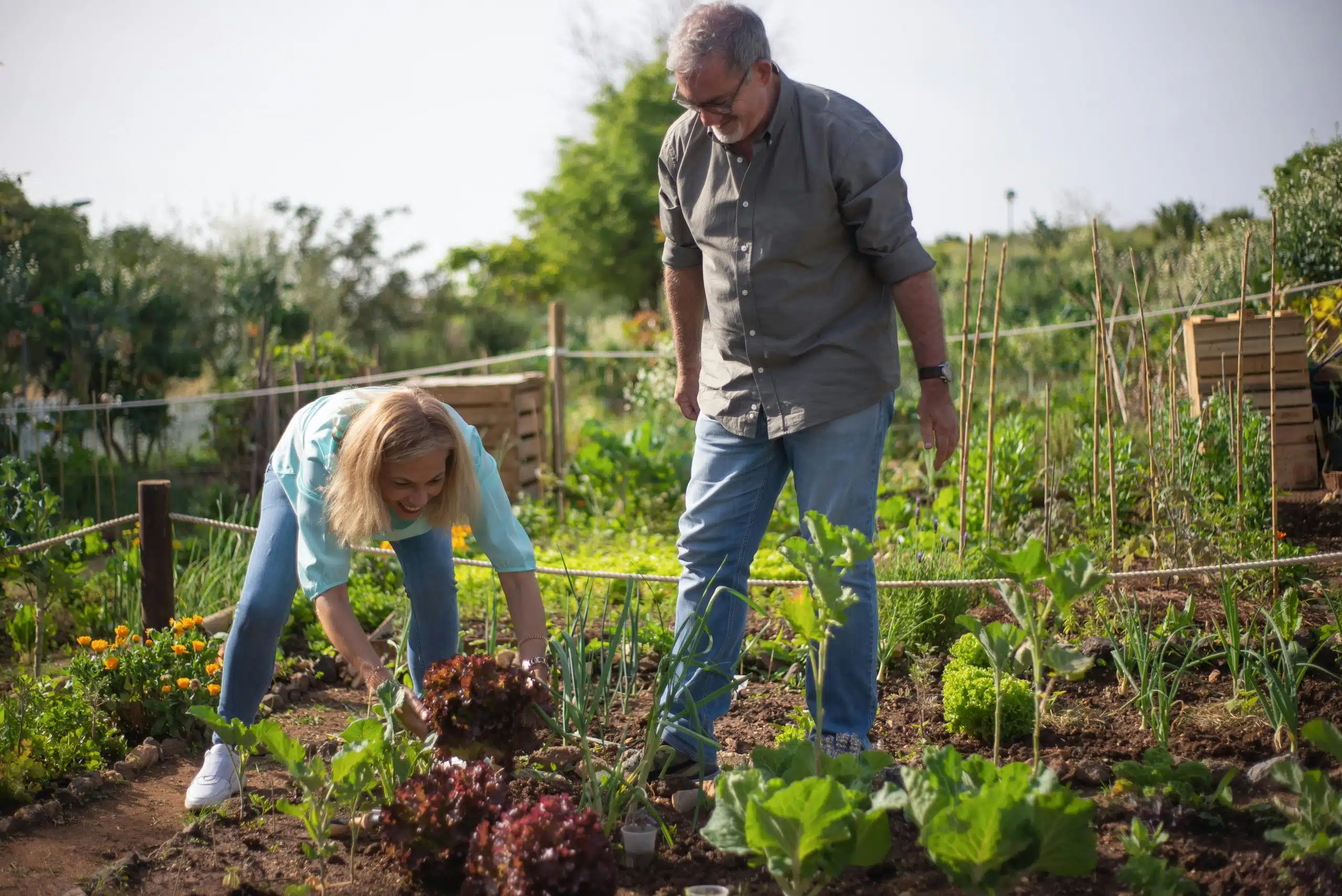 reasons to start estate planning